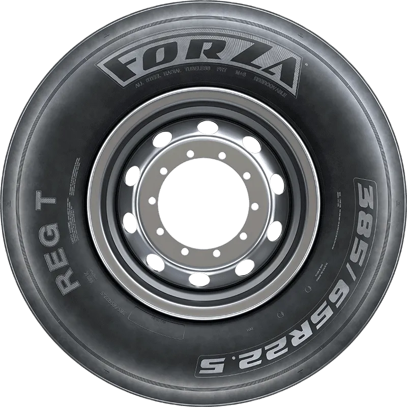 FORZA REG T в Калининске — KAMA TYRES FORZA REG T в Калининске